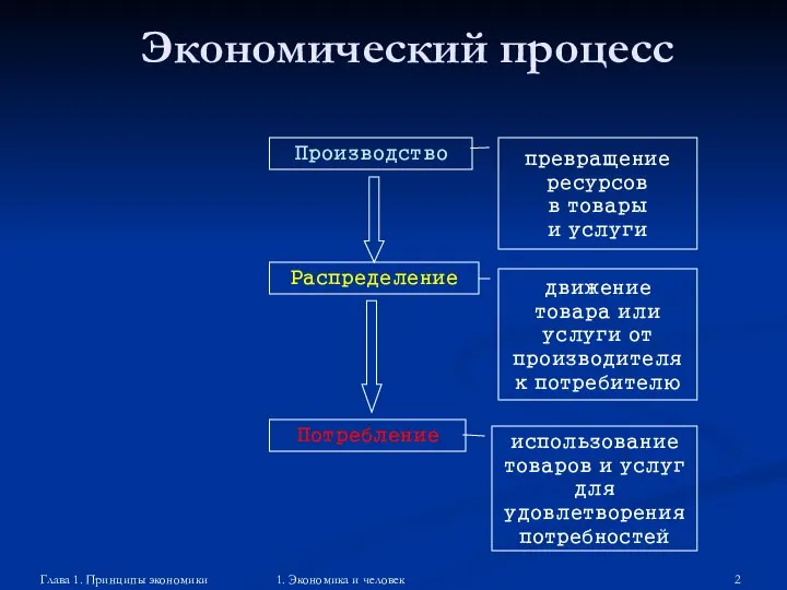 Глава 1. Принципы экономики 1. Экономика и человек Экономический процесс Производство