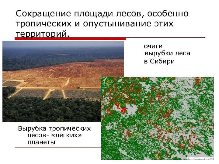 Сокращение площади лесов, особенно тропических и опустынивание этих территорий. Вырубка тропических