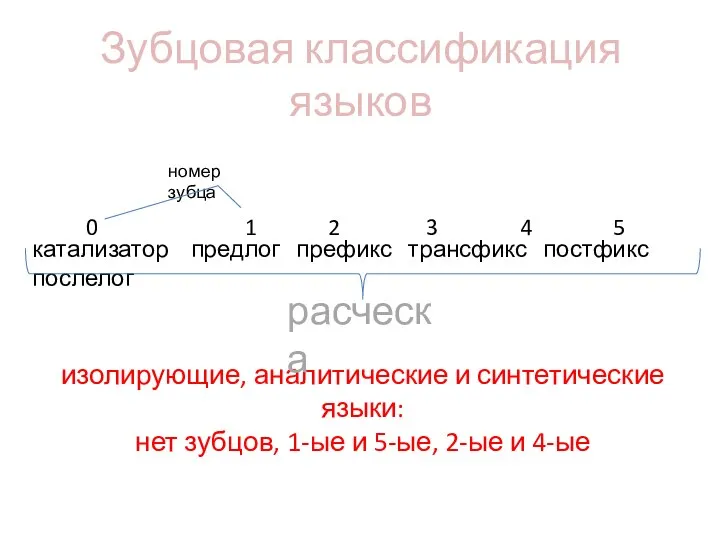 Зубцовая классификация языков 0 1 2 3 4 5 катализатор предлог