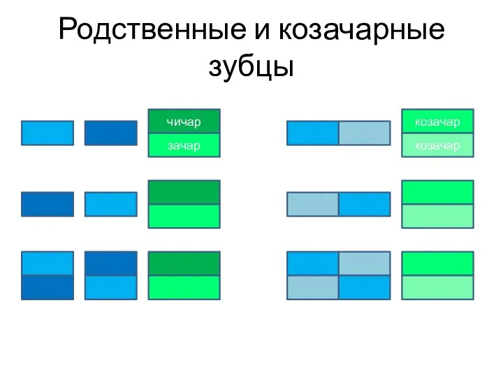 Родственные и козачарные зубцы чичар зачар козачар козачар