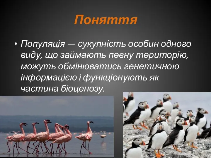 Поняття Популяція — сукупність особин одного виду, що займають певну територію,