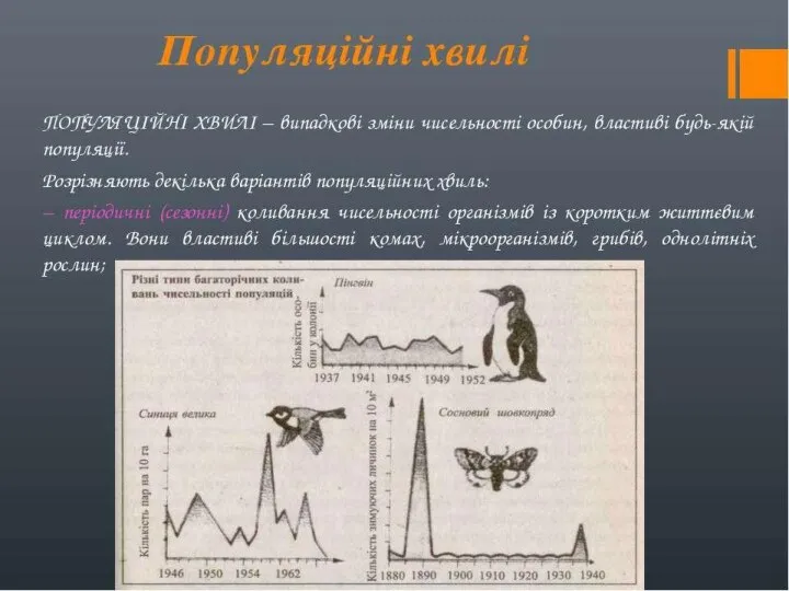 Популяційні хвилі