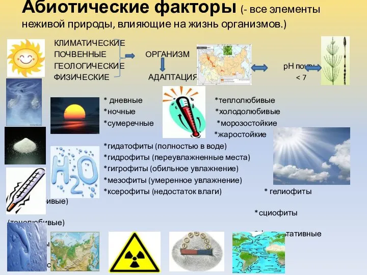 Абиотические факторы (- все элементы неживой природы, влияющие на жизнь организмов.)