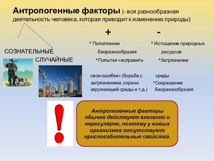 Антропогенные факторы (- вся разнообразная деятельность человека, которая приводит к изменению