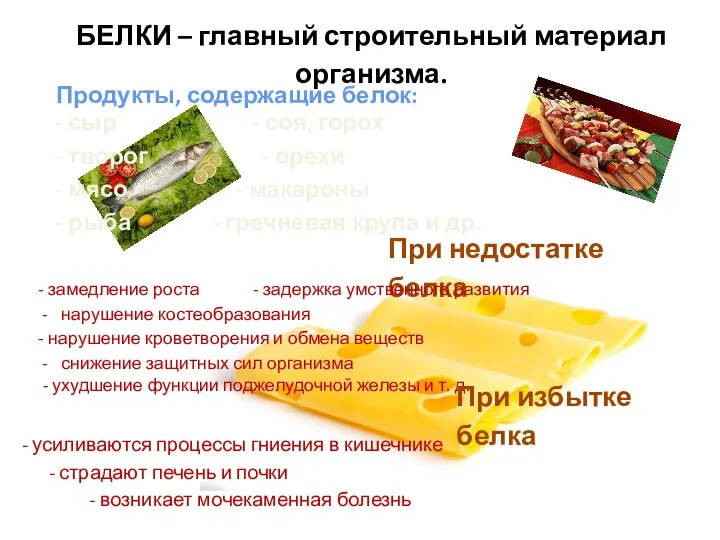 БЕЛКИ – главный строительный материал организма. Продукты, содержащие белок: - сыр