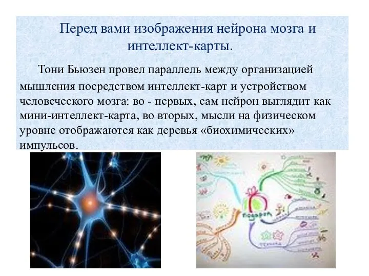 Перед вами изображения нейрона мозга и интеллект-карты. Тони Бьюзен провел параллель