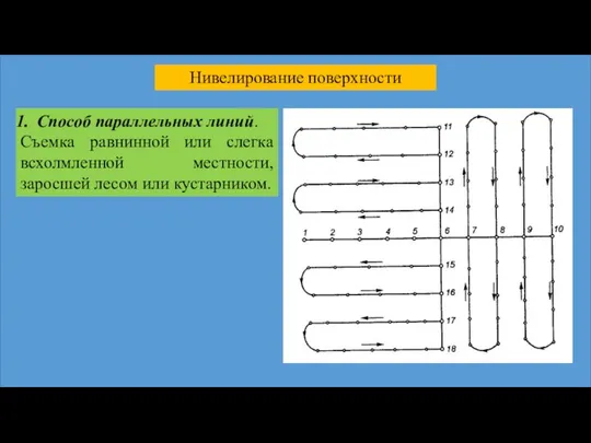 Нивелирование поверхности Способ параллельных линий. Съемка равнинной или слегка всхолмленной местности, заросшей лесом или кустарником.