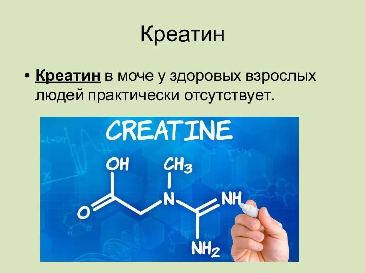 Креатин Креатин в моче у здоровых взрослых людей практически отсутствует.