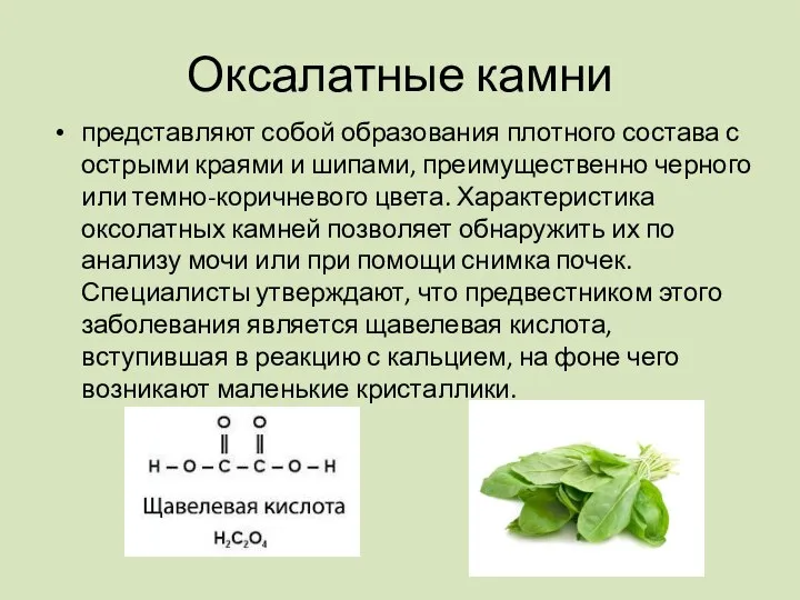 Оксалатные камни представляют собой образования плотного состава с острыми краями и