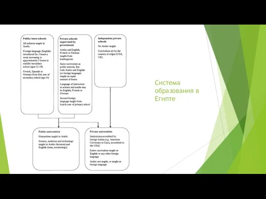 Система образования в Египте