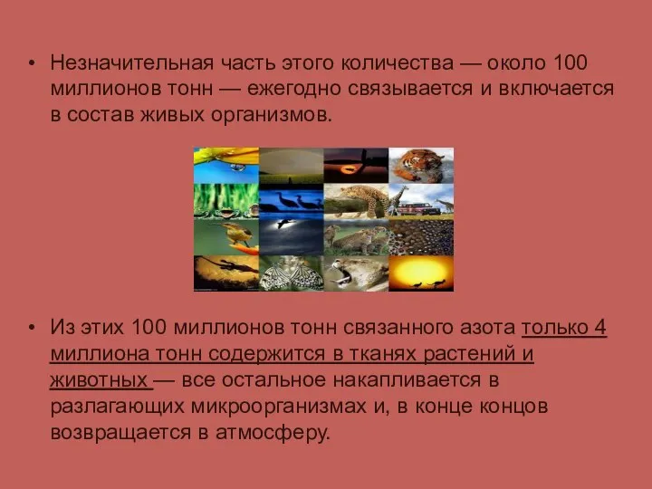 Незначительная часть этого количества — около 100 миллионов тонн — ежегодно