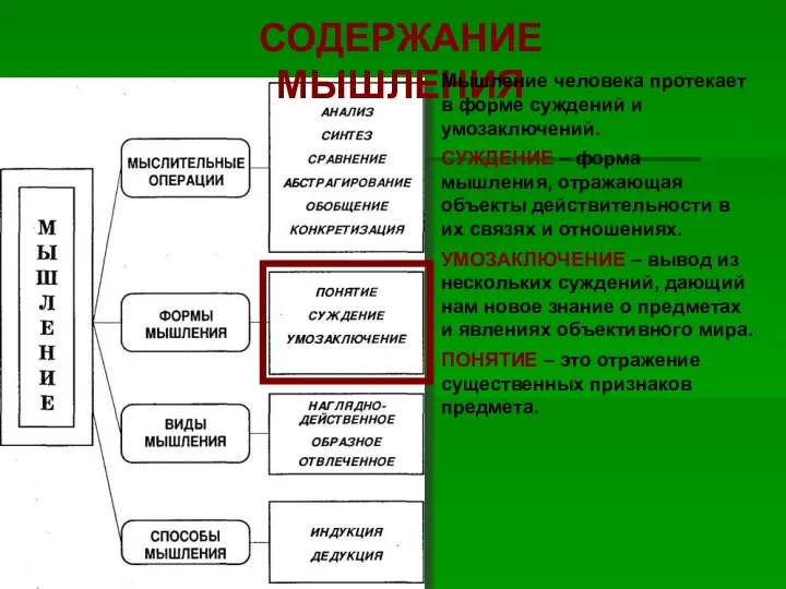 СОДЕРЖАНИЕ МЫШЛЕНИЯ Мышление человека протекает в форме суждений и умозаключений. СУЖДЕНИЕ