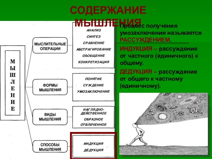 СОДЕРЖАНИЕ МЫШЛЕНИЯ Процесс получения умозаключения называется РАССУЖДЕНИЕМ. ИНДУКЦИЯ – рассуждение от