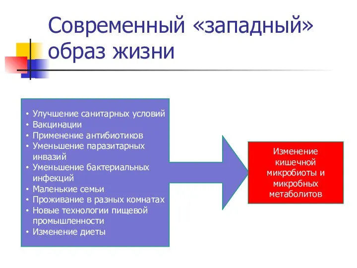 Современный «западный» образ жизни Улучшение санитарных условий Вакцинации Применение антибиотиков Уменьшение