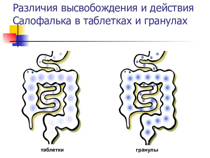 Различия высвобождения и действия Салофалька в таблетках и гранулах таблетки гранулы