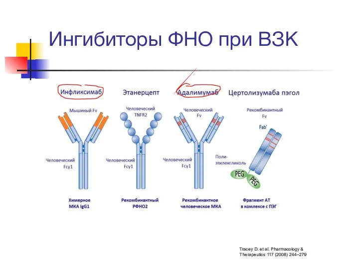 Ингибиторы ФНО при ВЗК Tracey D. et al. Pharmacology & Therapeutics 117 (2008) 244–279