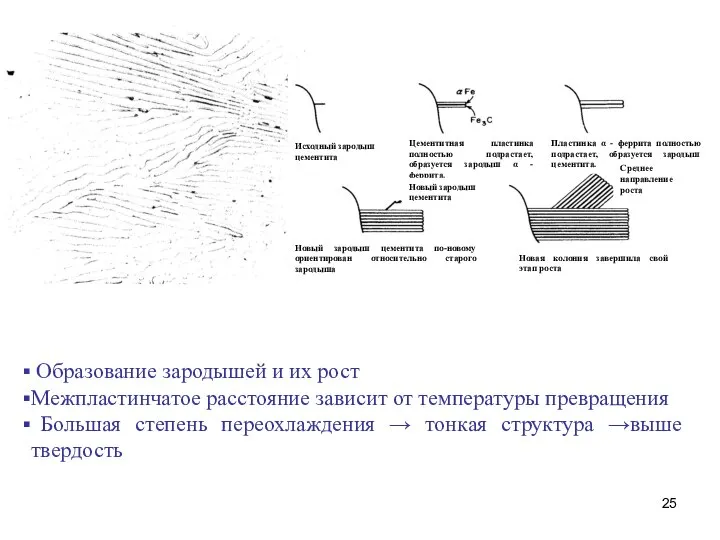 Образование зародышей и их рост Межпластинчатое расстояние зависит от температуры превращения