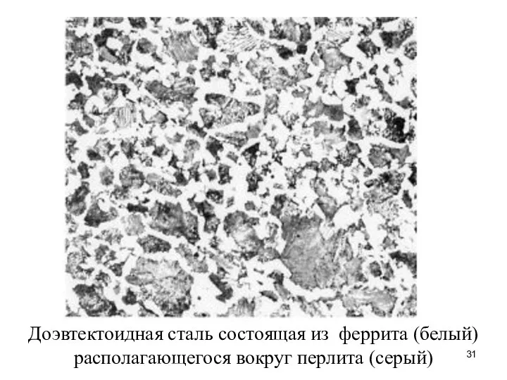 Доэвтектоидная сталь состоящая из феррита (белый) располагающегося вокруг перлита (серый)