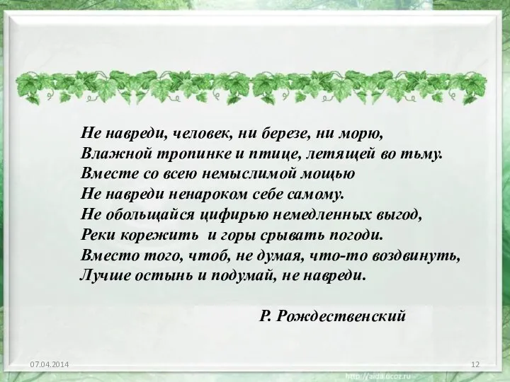 07.04.2014 Не навреди, человек, ни березе, ни морю, Влажной тропинке и