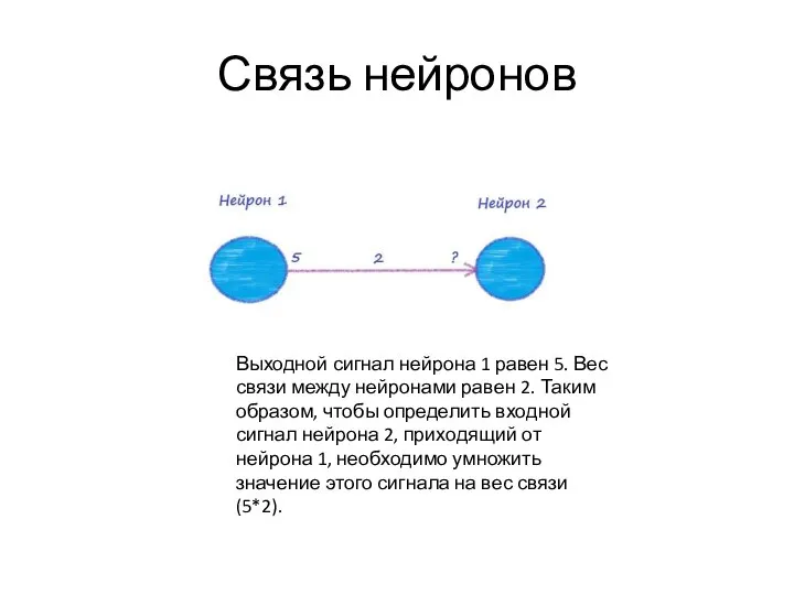 Связь нейронов Выходной сигнал нейрона 1 равен 5. Вес связи между