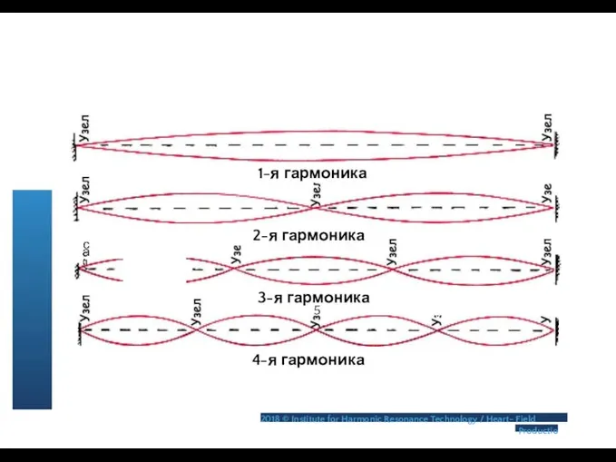 1-я гармоника с; а> СП 2-я гармоника 3-я гармоника 5 4-я