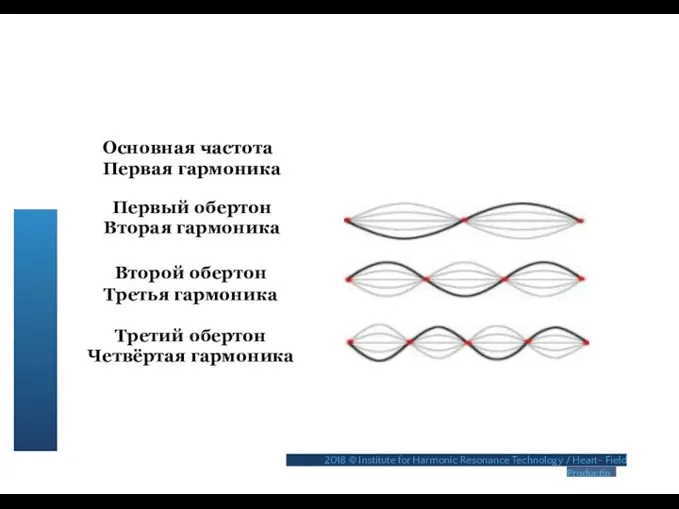 Основная частота Первая гармоника Первый обертон Вторая гармоника Второй обертон Третья