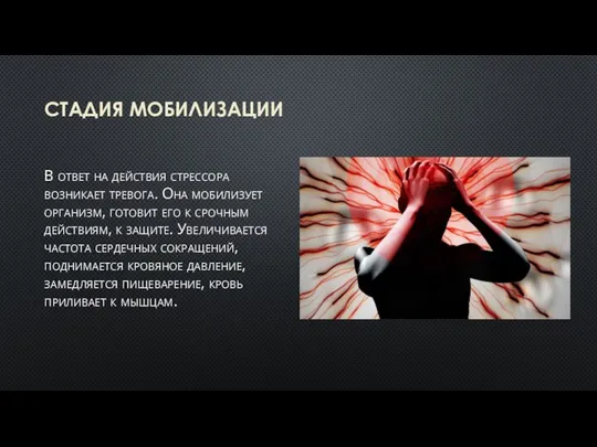 СТАДИЯ МОБИЛИЗАЦИИ В ответ на действия стрессора возникает тревога. Она мобилизует