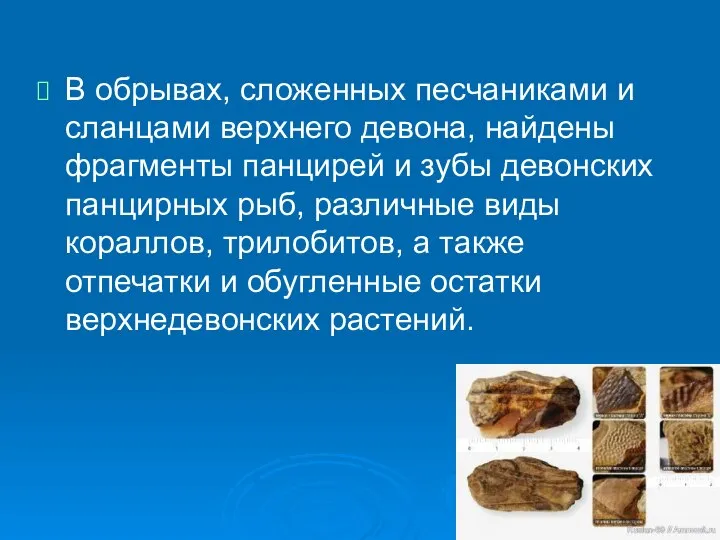 В обрывах, сложенных песчаниками и сланцами верхнего девона, найдены фрагменты панцирей