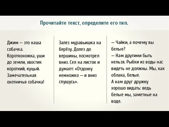 Прочитайте текст, определите его тип. Джим — это наша собачка. Коротконожка,