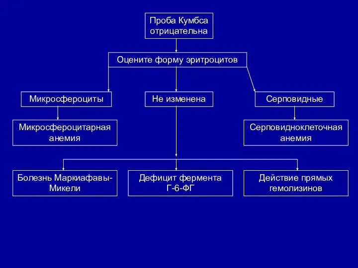 Проба Кумбса отрицательна Оцените форму эритроцитов Микросфероциты Не изменена Серповидные Микросфероцитарная