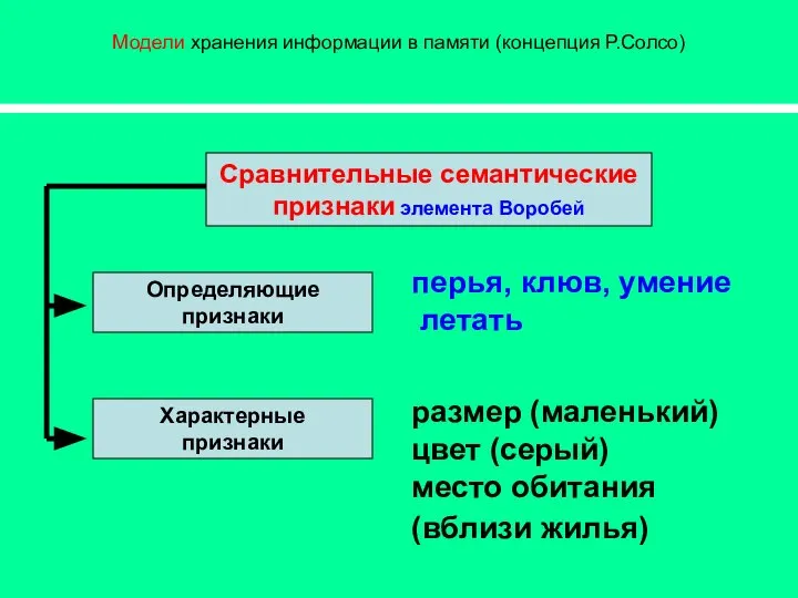 Модели хранения информации в памяти (концепция Р.Солсо) перья, клюв, умение летать