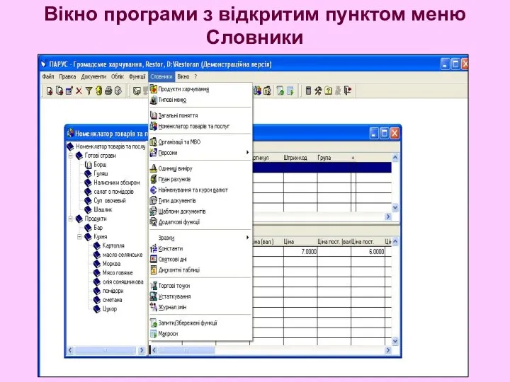 Вікно програми з відкритим пунктом меню Словники