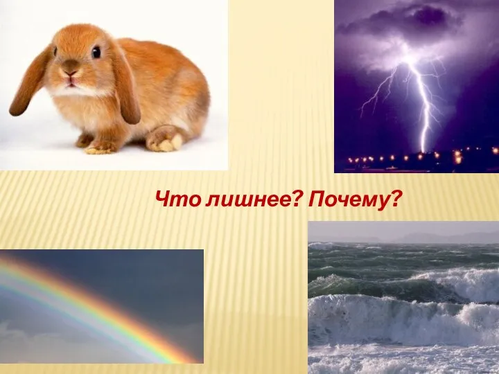 Что лишнее? Почему?