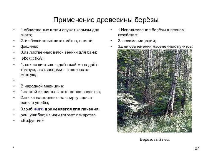 * Применение древесины берёзы 1.облиственые ветви служат кормом для скота; 2.