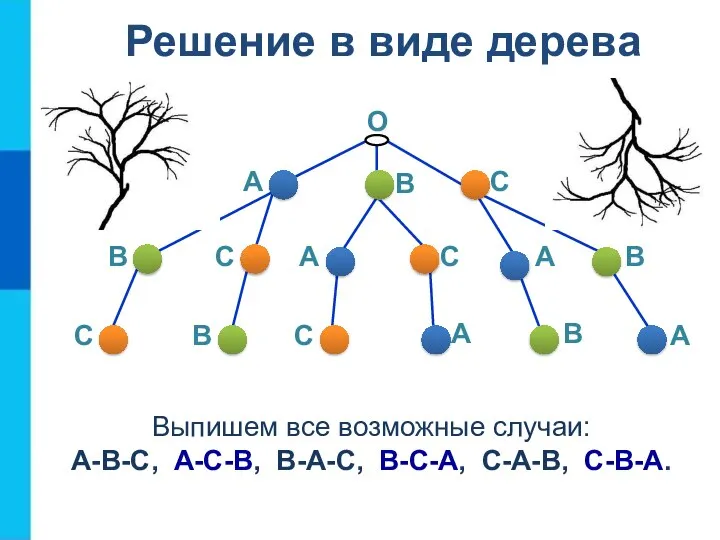 Решение в виде дерева О А В С В С А