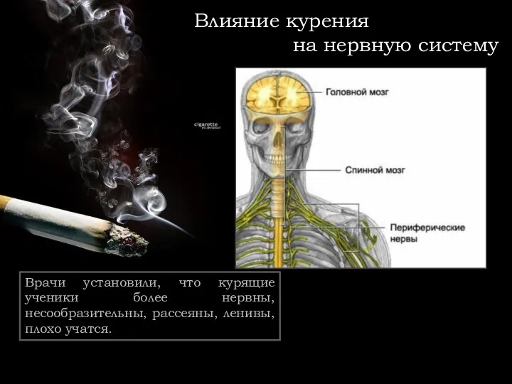 Влияние курения на нервную систему Врачи установили, что курящие ученики более