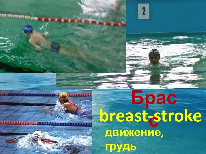 Брасс breast-stroke движение, грудь ход