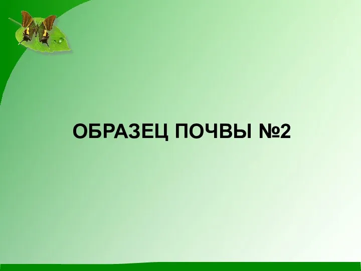 ОБРАЗЕЦ ПОЧВЫ №2