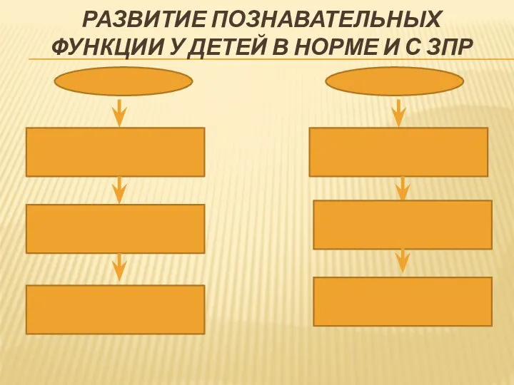 РАЗВИТИЕ ПОЗНАВАТЕЛЬНЫХ ФУНКЦИИ У ДЕТЕЙ В НОРМЕ И С ЗПР