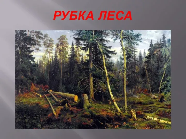 РУБКА ЛЕСА