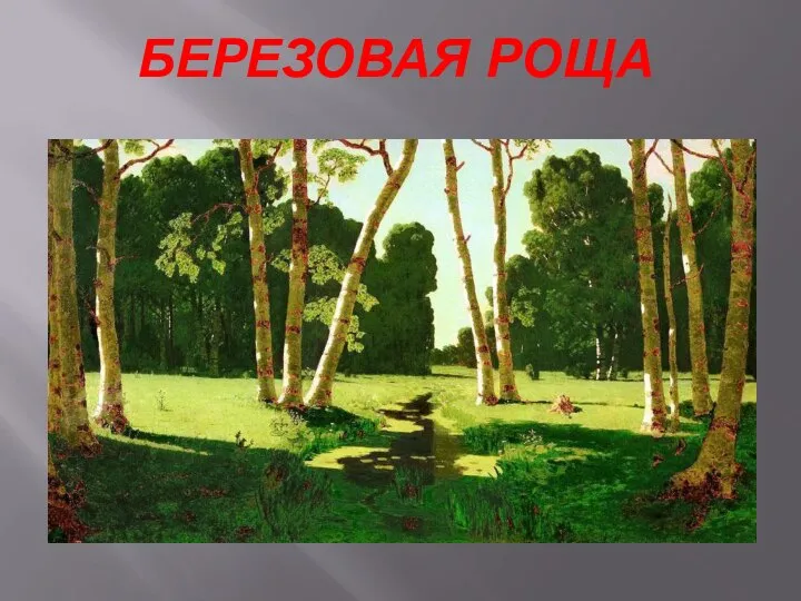 БЕРЕЗОВАЯ РОЩА