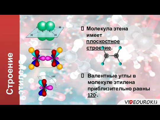 Строение этилена Молекула этена имеет плоскостное строение. Валентные углы в молекуле этилена приблизительно равны 120°.