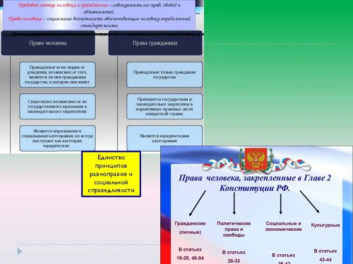 Единство принципов равноправия и социальной справедливости