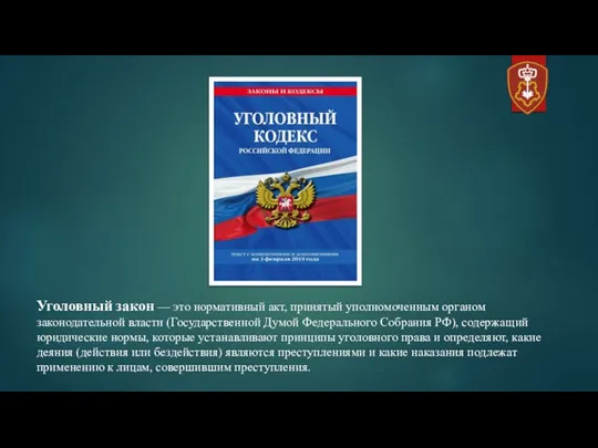 Уголовный закон — это нормативный акт, принятый уполномоченным органом законодательной власти