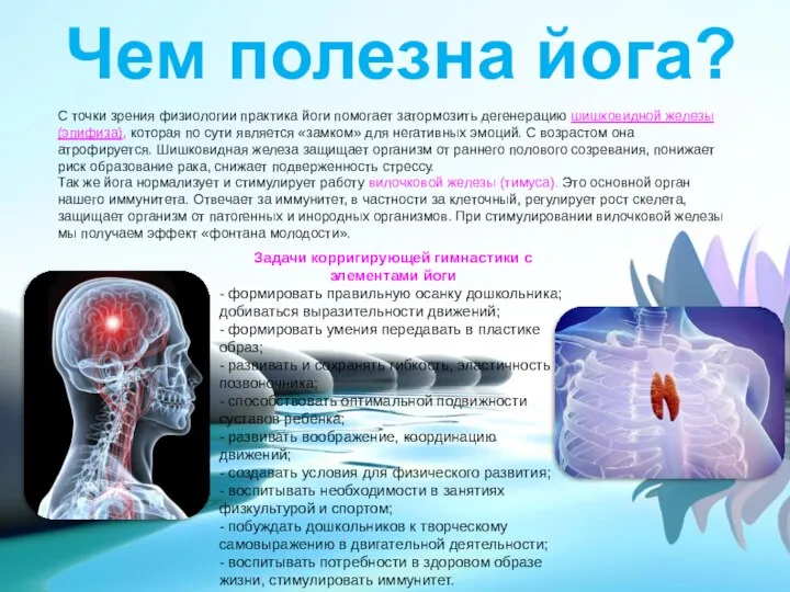 Чем полезна йога? С точки зрения физиологии практика йоги помогает затормозить