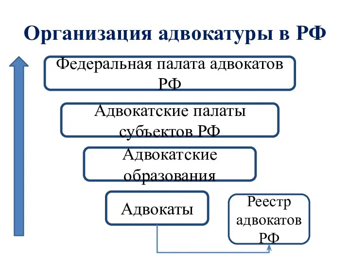 Организация адвокатуры в РФ Федеральная палата адвокатов РФ Адвокатские палаты субъектов