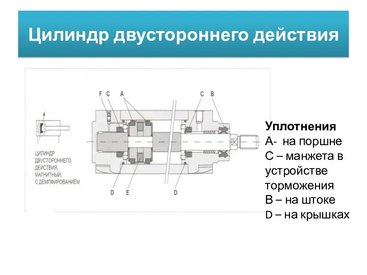 Цилиндр двустороннего действия Уплотнения А- на поршне С – манжета в