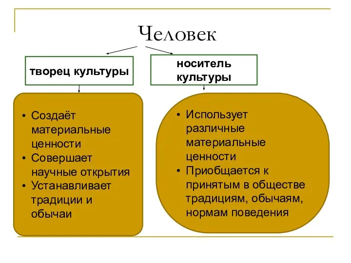 Человек творец культуры носитель культуры Создаёт материальные ценности Совершает научные открытия