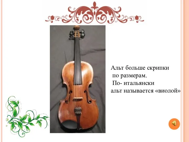 Альт больше скрипки по размерам. По- итальянски альт называется «виолой»