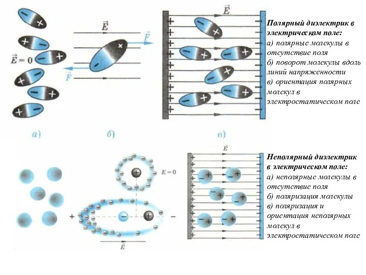Неполярный диэлектрик в электрическом поле: а) неполярные молекулы в отсутствие поля